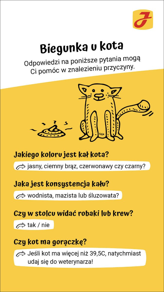 Czy sucha karma dla kotów może powodować biegunkę?
