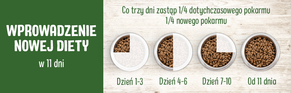 Jak często zmieniac karmę dla kota?