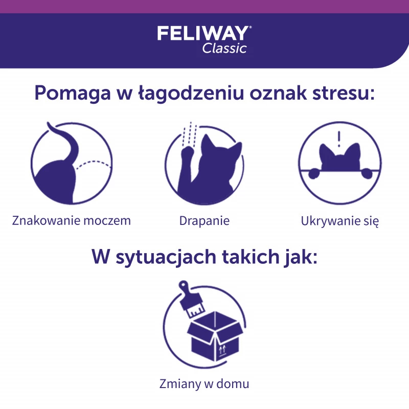 Jak działają feromony na kota?