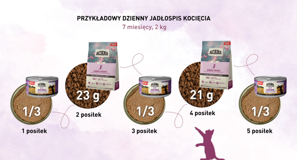 Jak mieszać kotu suchą karmę z mokrą?