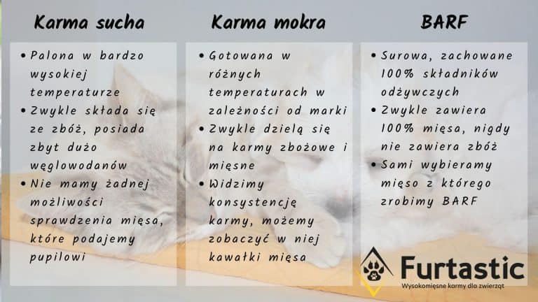 Jakie mięso jest najzdrowsze dla kota?