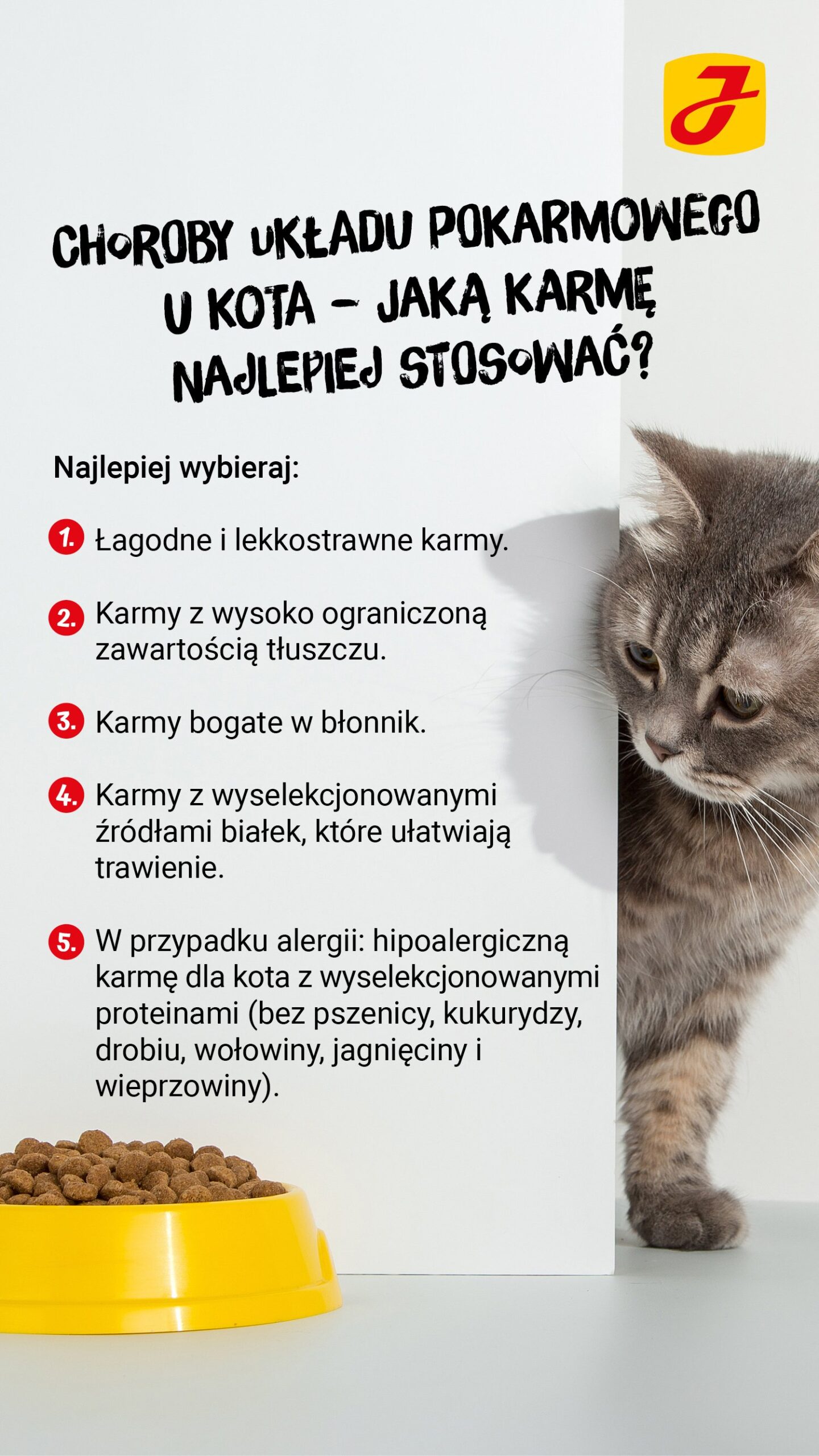 Po czym poznac że kot ma zatwardzenie?