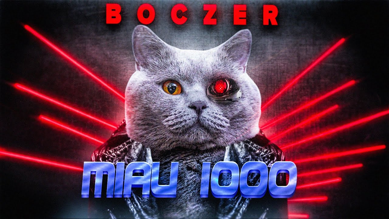 Co koty robią w nocy?