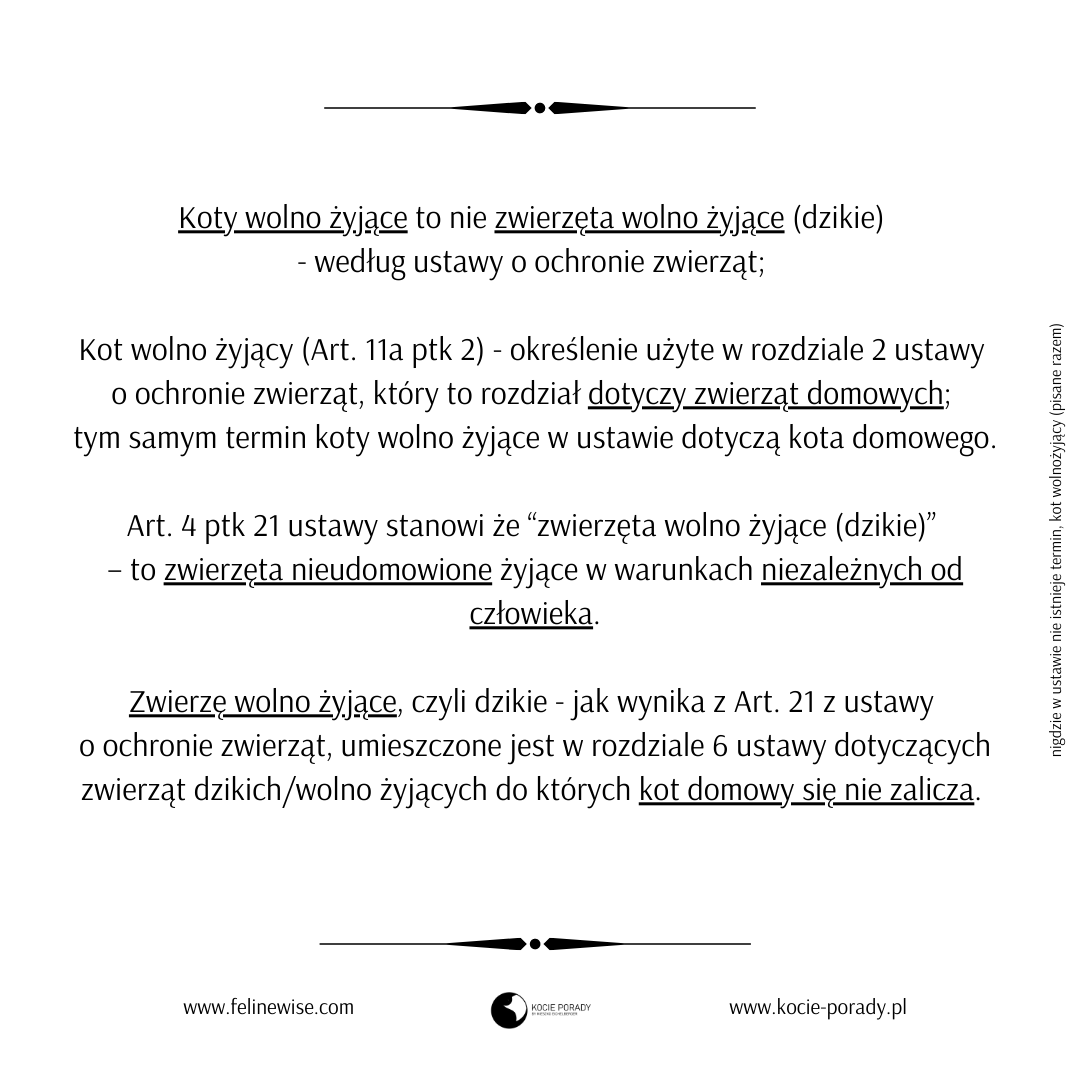 Czy kot jest zwierzęciem wolno żyjącym?