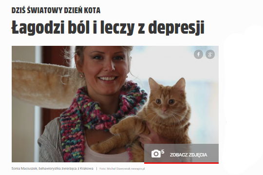 Czy kot pomaga w depresji?