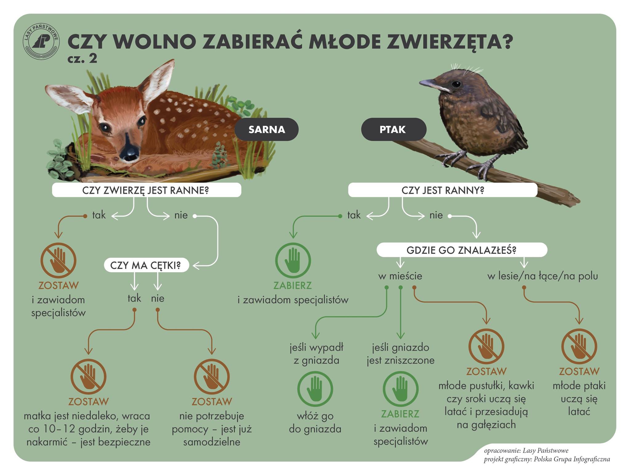 Czy można zabierać zwierzęta?