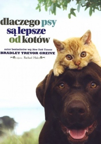 Czy psy są lepsze od kotów?