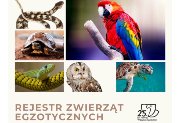 Czy trzeba rejestrować zwierzęta?