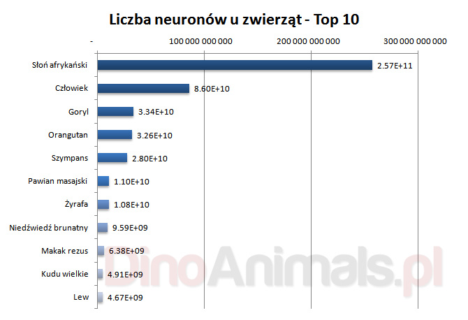 Ile przeciętny Polak ma IQ?