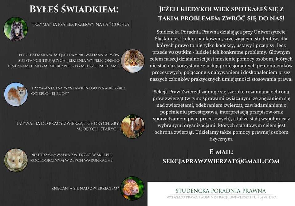 Jak anonimowo zgłosić zaniedbanie zwierząt?