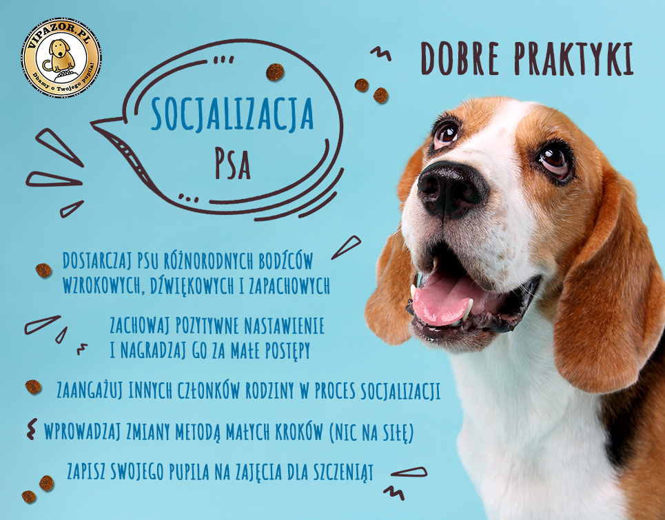 Jak dlugo trwa socjalizacja?