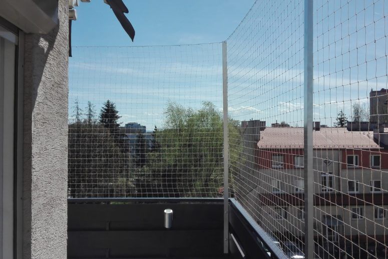 Jak zabezpieczyc balkon dla kota bez siatki?