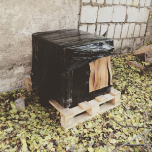 Jaki otwór w budzie dla kota?