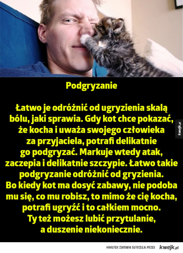 Kiedy kot cię kocha?