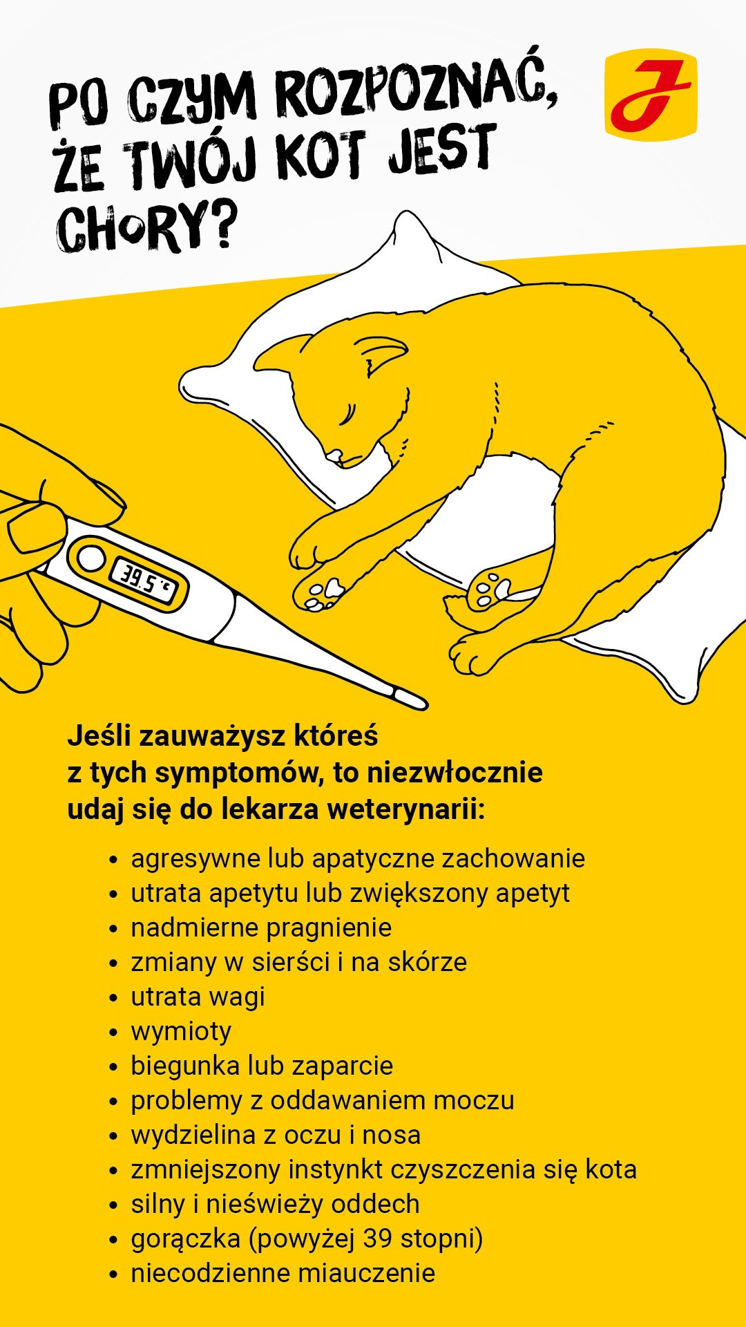 Po czym poznać że kot jest chory?