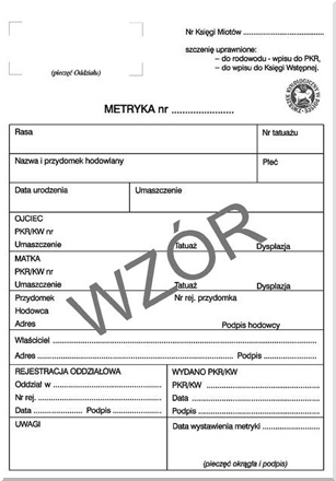 Co jest potrzebne do rejestracji psa?
