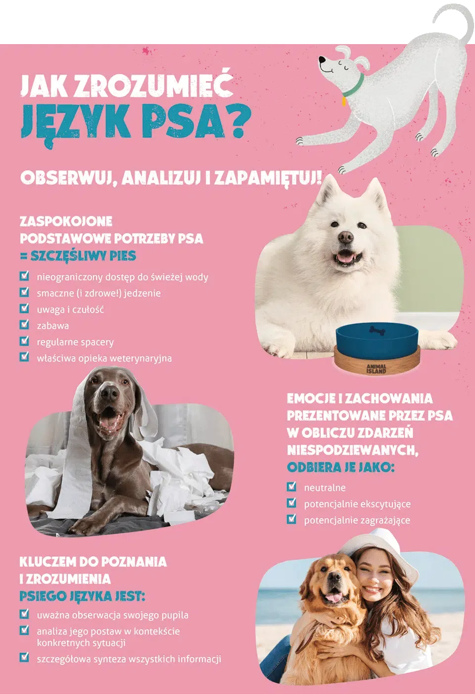 Co przestraszy psa?