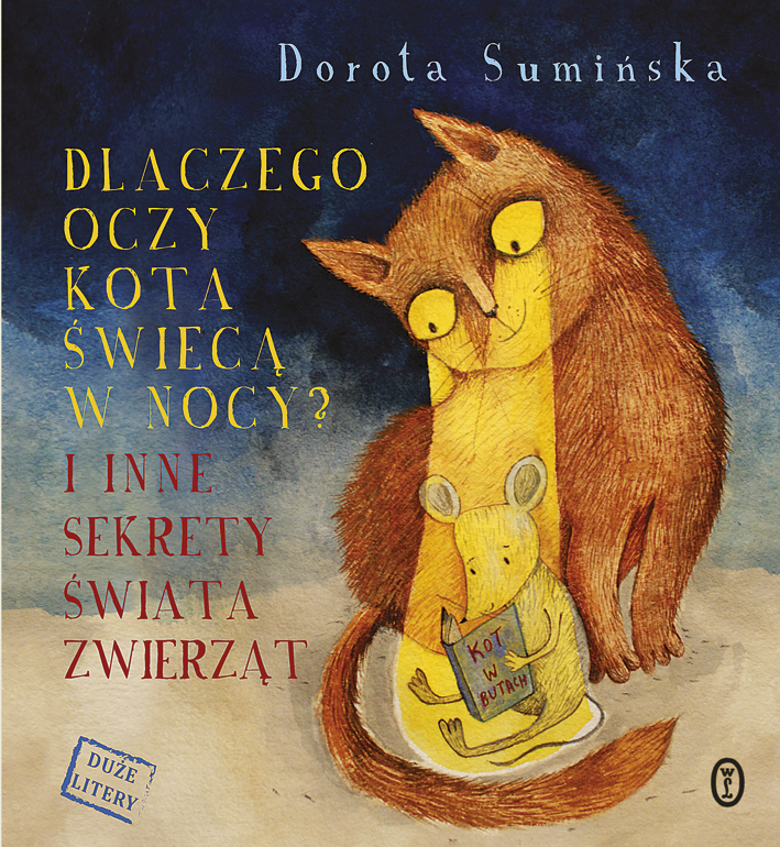 Czy oczy kota świecą w ciemności?