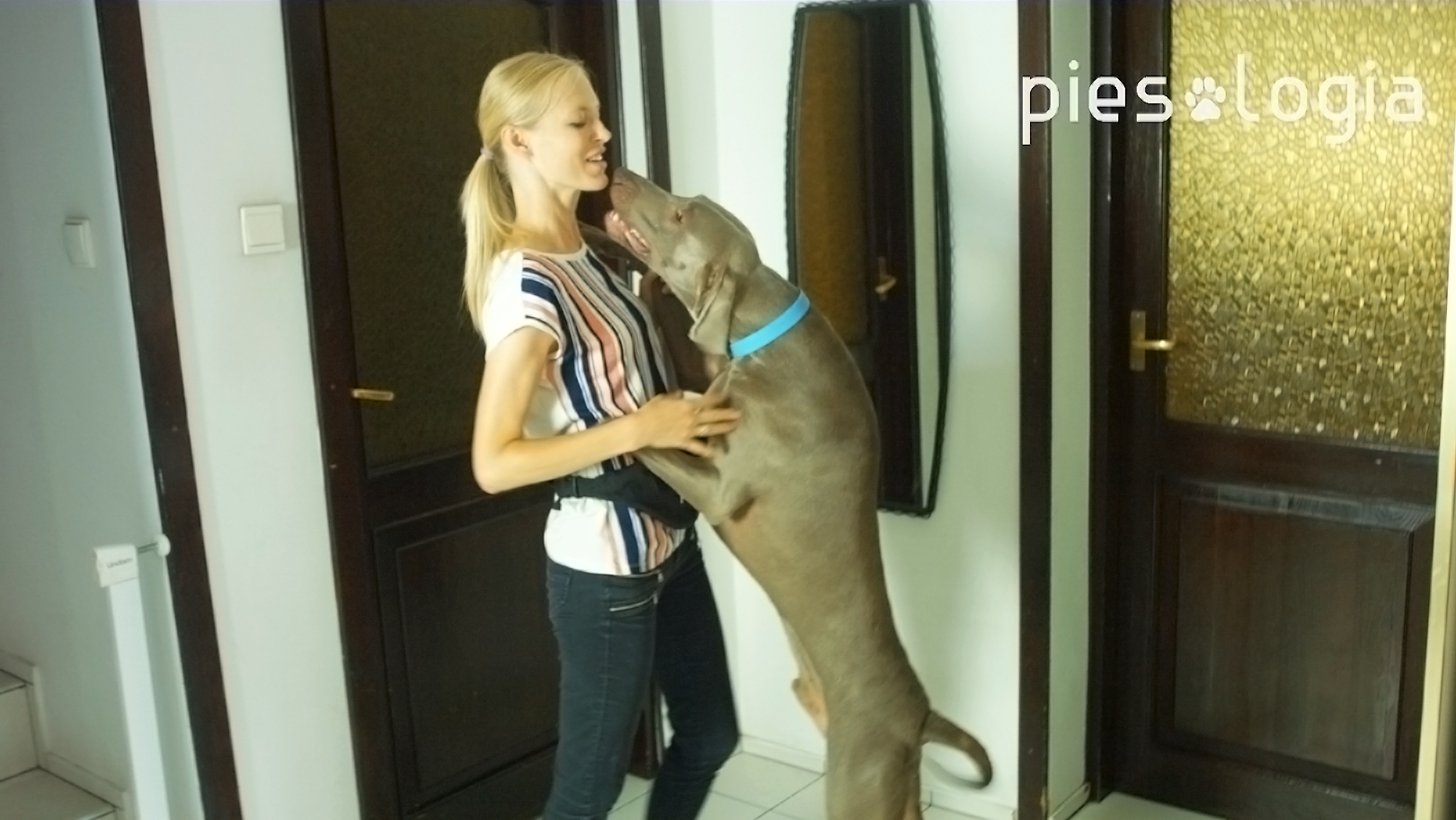 Czy pies się podnieca?