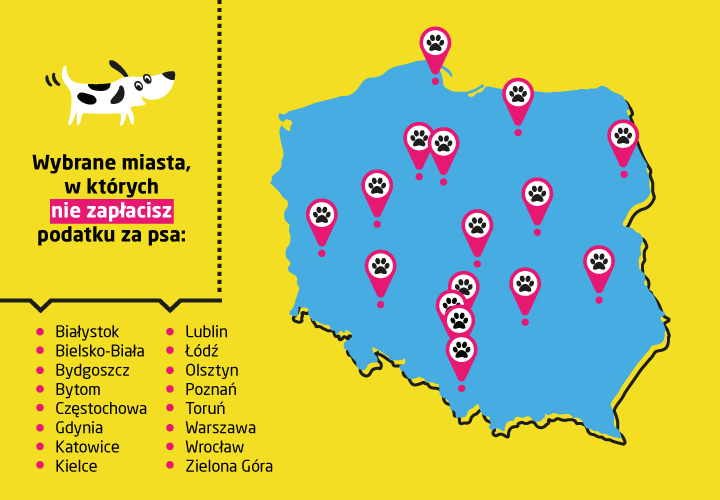 Czy w Warszawie trzeba płacić podatek za psa?