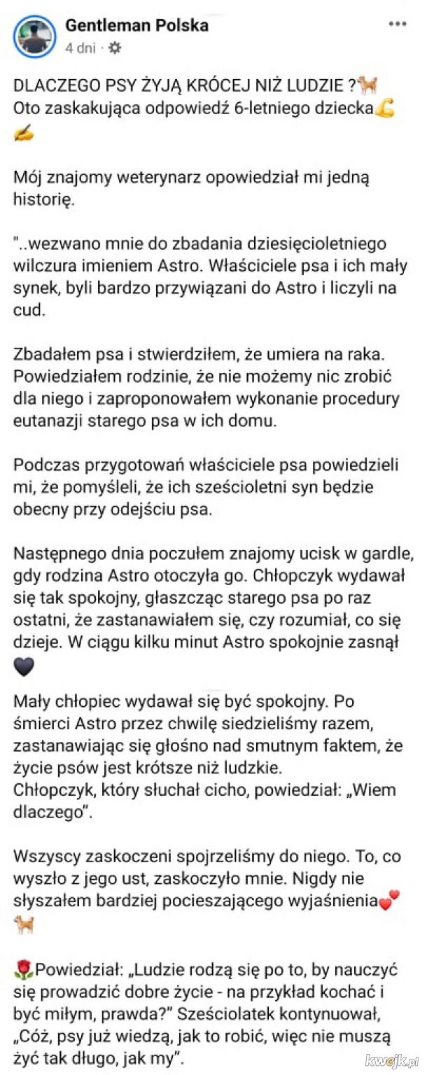 Dlaczego psy i koty nie żyją tak długo jak ludzie?