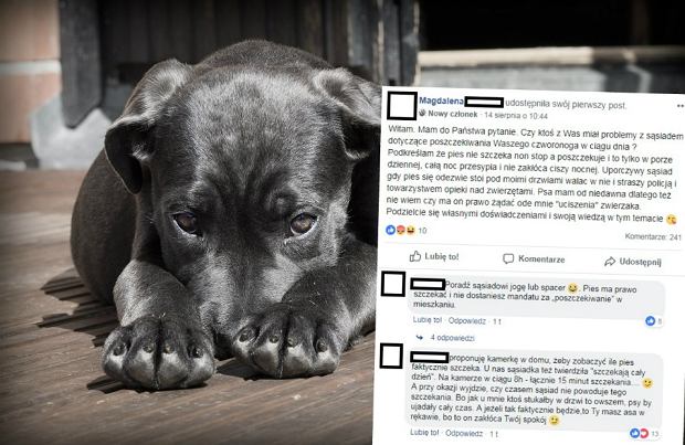Gdzie zgłosić psa sąsiada?