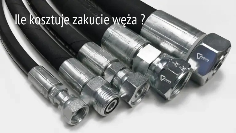 Ile kosztuje rejestracja węża?