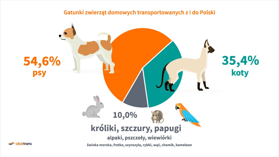 Ile kosztuje transport zwierząt samolotem?