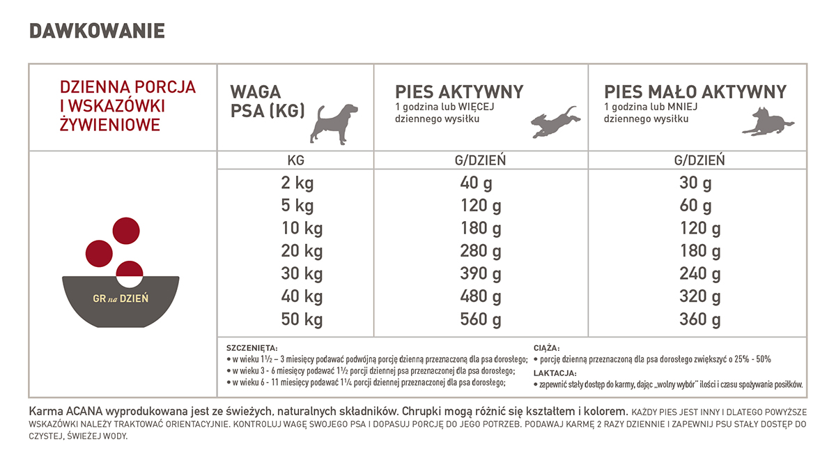 Ile to jest 1 godzina dla psa?