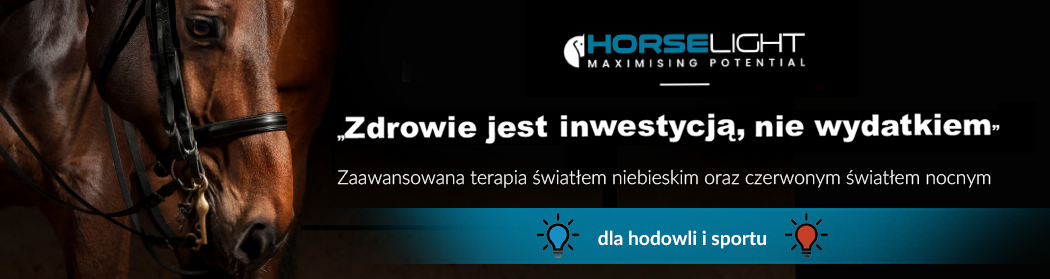 Jak inteligentne są konie?