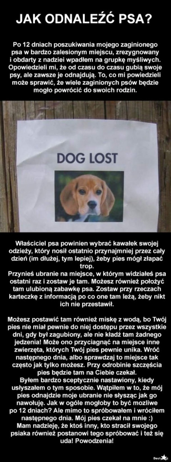Jak namierzyć psa?
