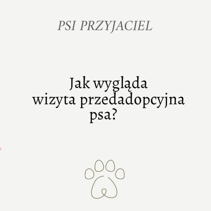 Jak wygląda wizyta przedadopcyjna?