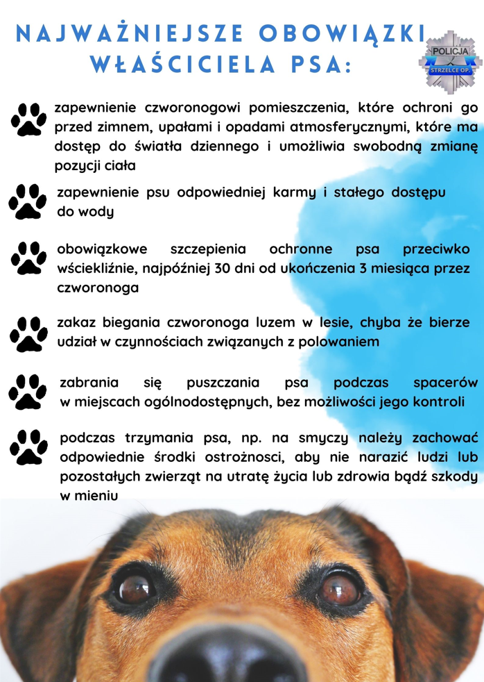 Jakie obowiązki spoczywają na właścicielu utrzymującym zwierzę domowe?