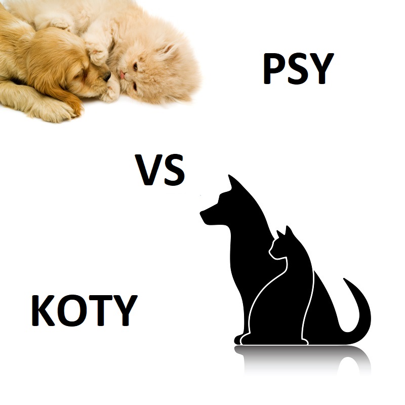 Kto by wygrał pies czy kot?