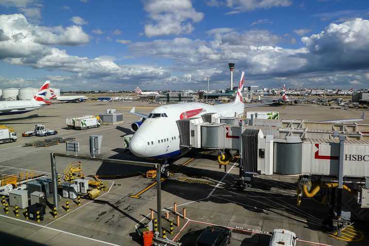 Czy British Airways przewozi zwierzęta?