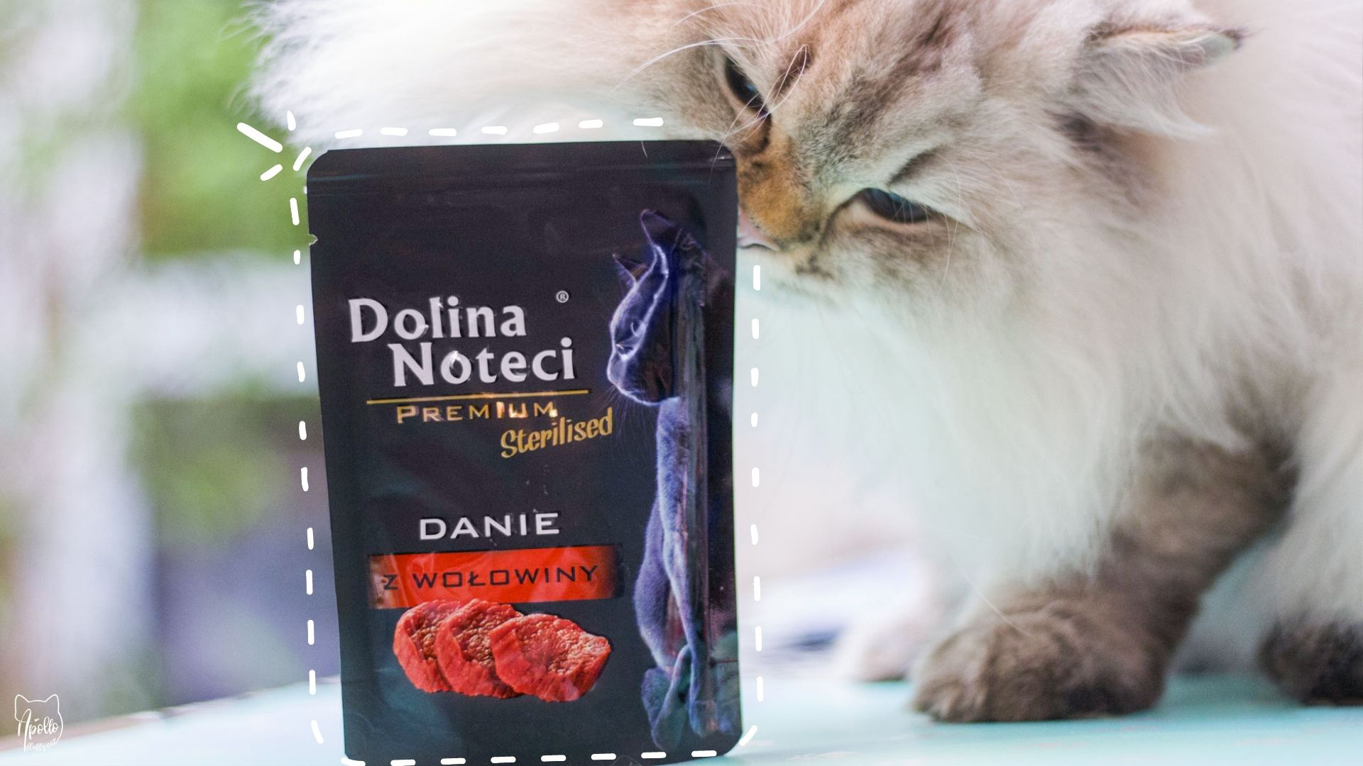 Czy Dolina Noteci to dobra karma?