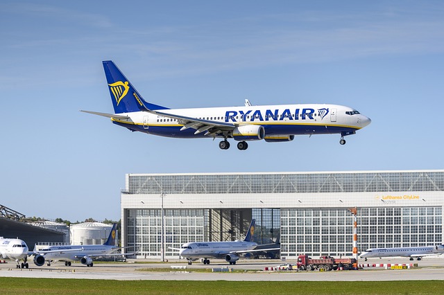 Czy Ryanair przewozi zwierzęta?
