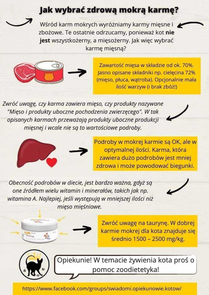 Ile karmy dla kota brytyjskiego?