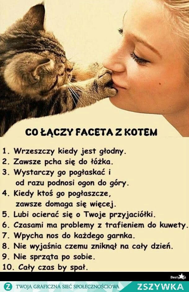 Kiedy Oswojono kota?