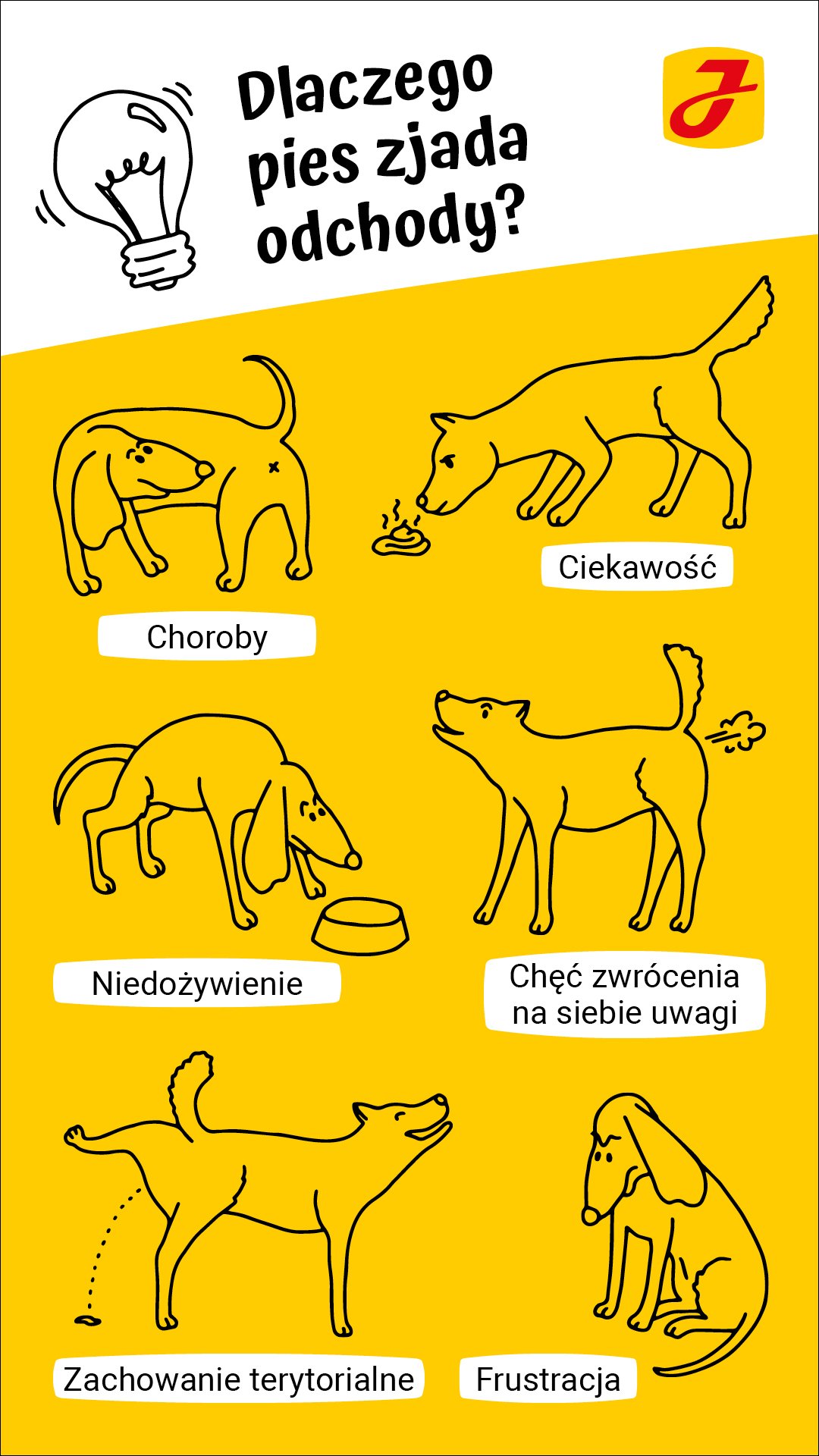 Czy psy jedza kocie kupy?