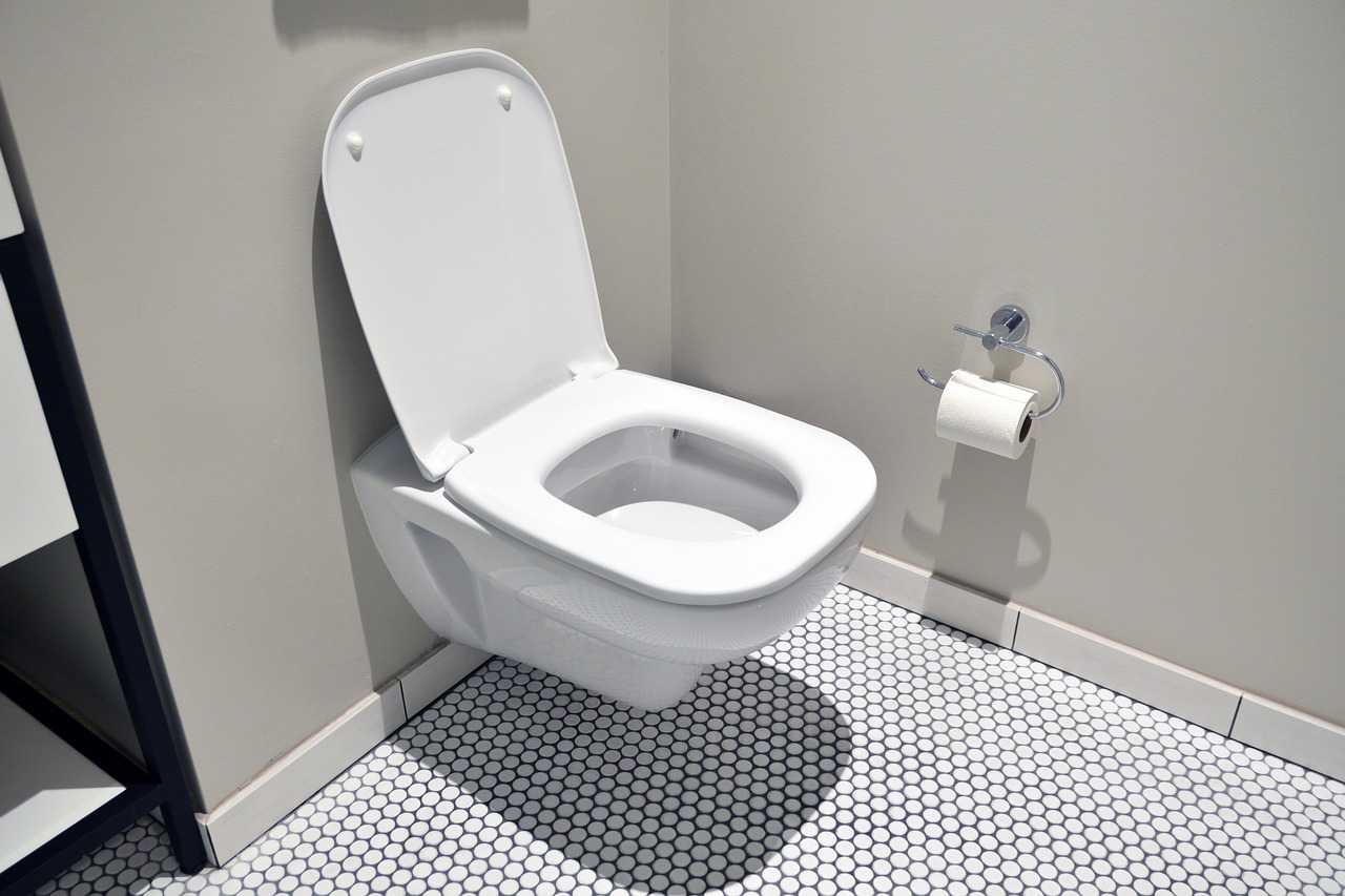 Do jakiego pojemnika wyrzucić deskę klozetową?