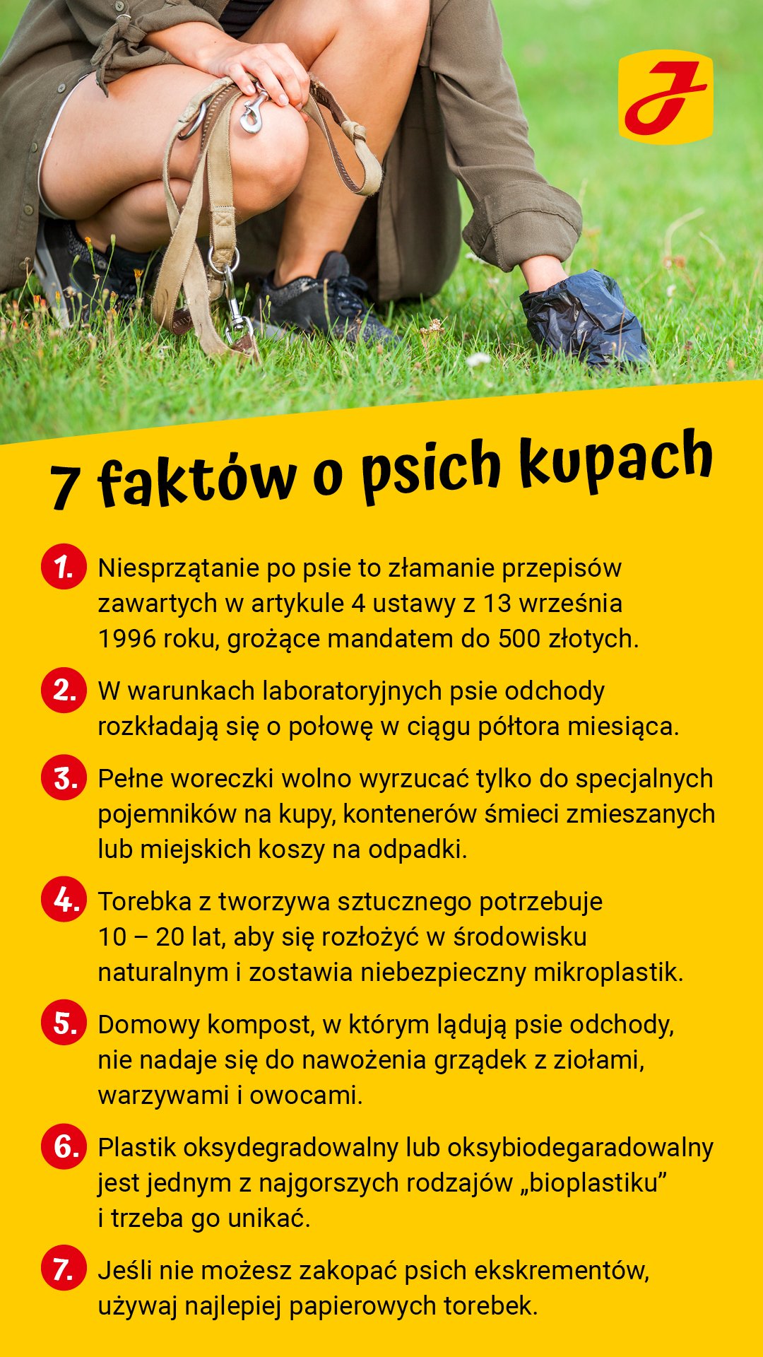 Gdzie wrzucać odchody psa?