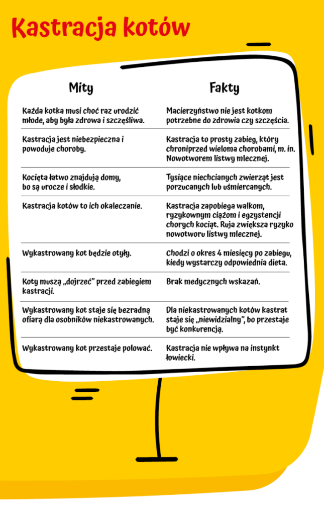 Ile Godzin Po śmierci Można Pobrać Organy