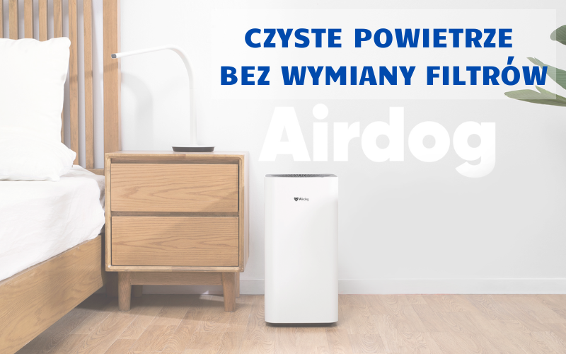 Jak oczyścić powietrze z sierści?