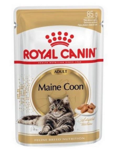 Jaką karma mokra dla maine coon?