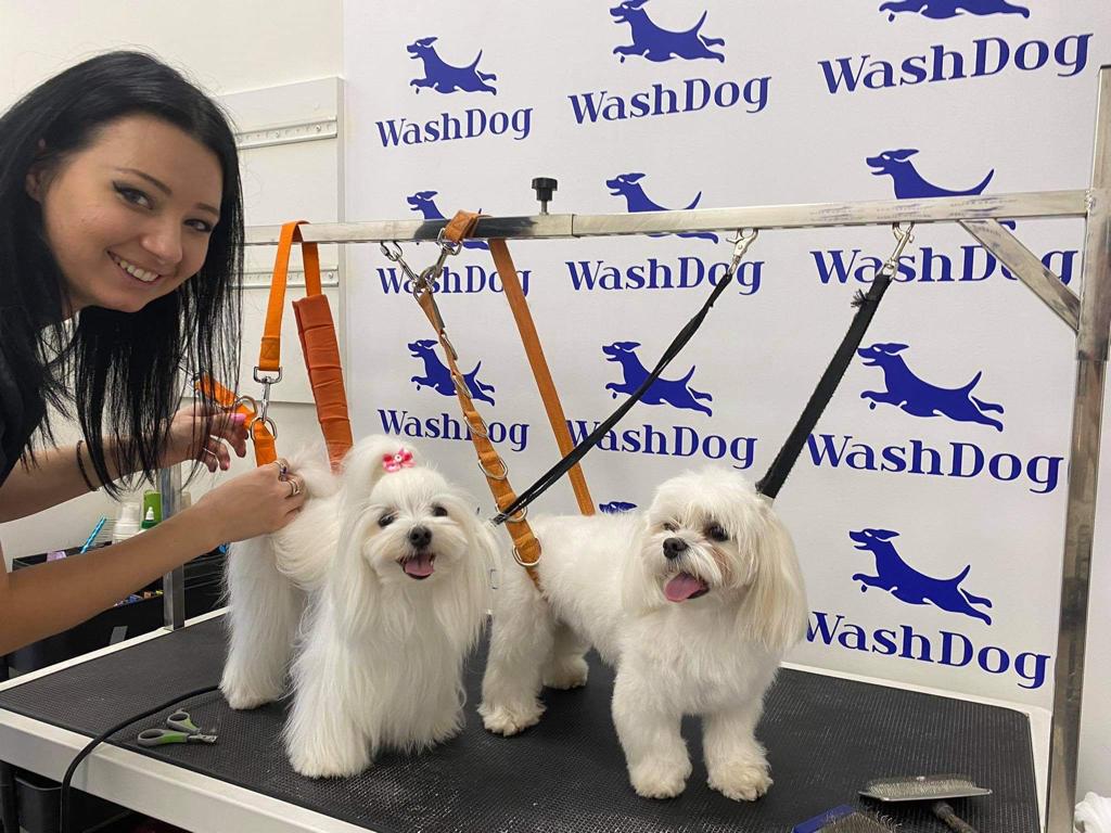 Co to znaczy grooming?