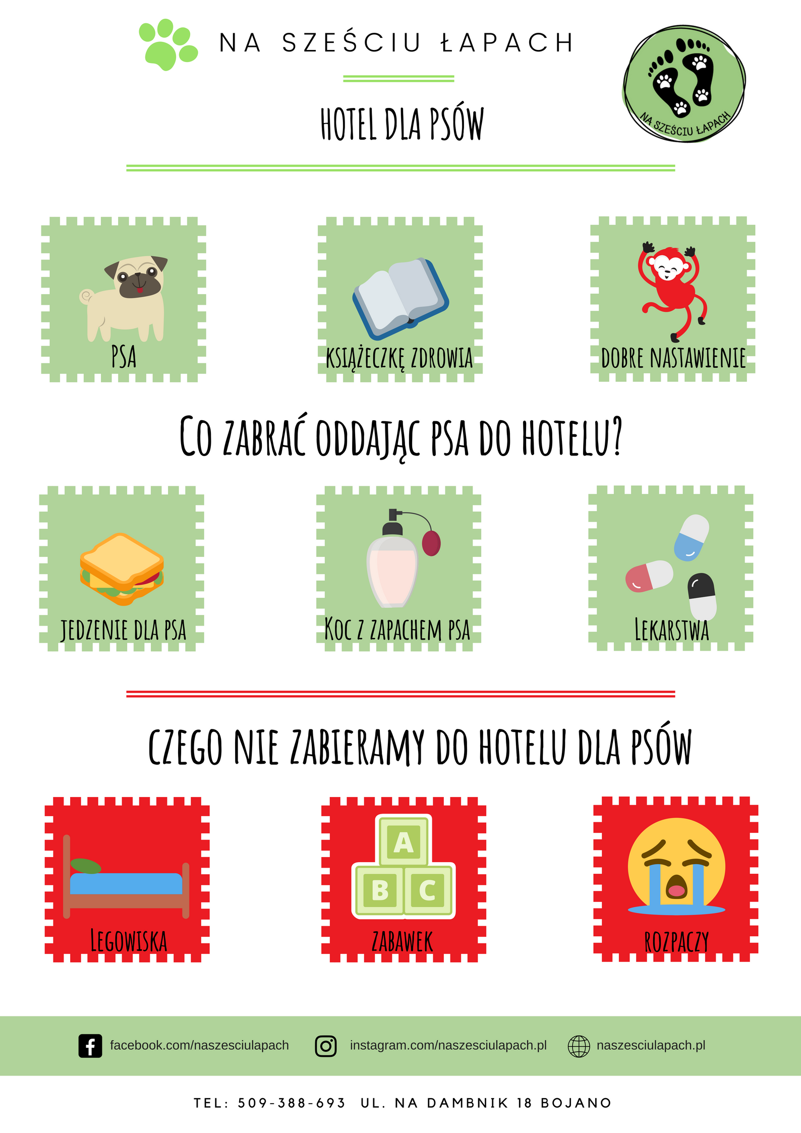 Co zabrać do hotelu dla psów?