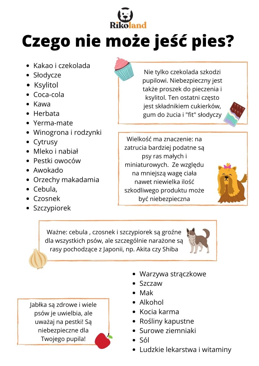 Czego absolutnie nie może jeść pies?