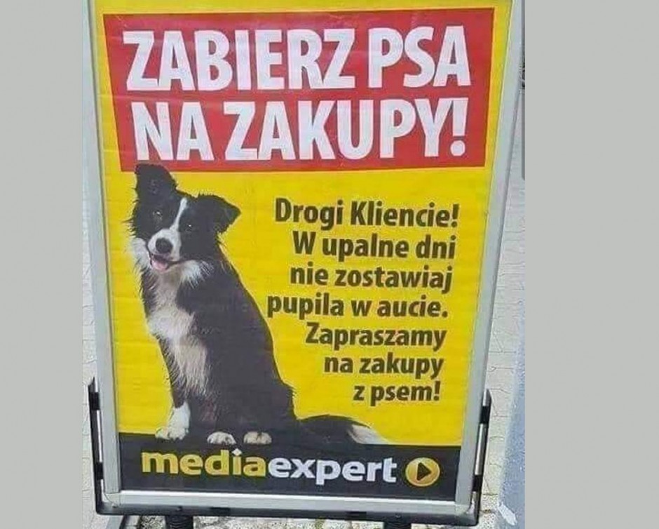 Czy można wchodzic z psami do sklepow?