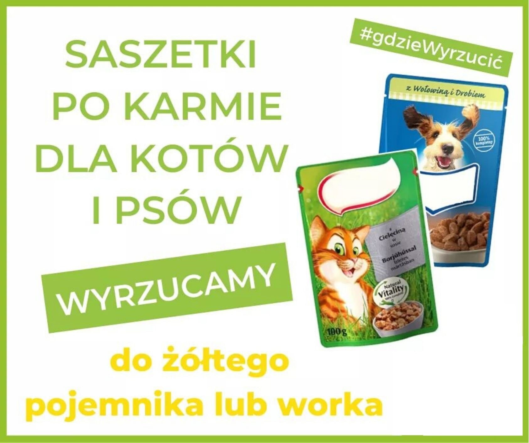 Gdzie wyrzucić saszetkę po karmie dla kota?